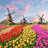 ทัวร์เนเธอร์แลนด์ เที่ยวเนเธอร์แลนด์ ราคาดี 2567-2568 | เนเธอร์แลนด์