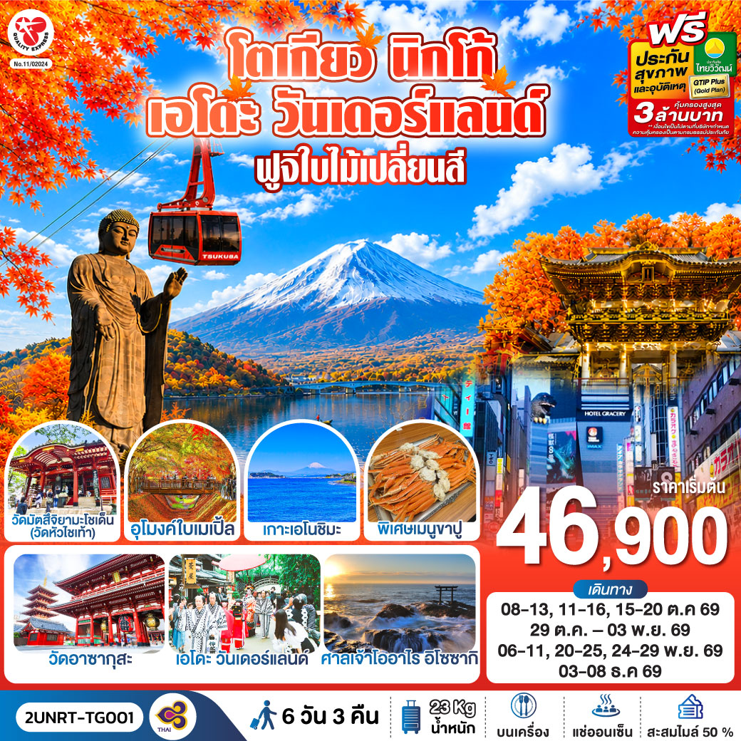 พระใหญ่อุชิคุ ไดบุตสึ – กระเช้าลอยฟ้าสึคุบะ (รวมค่ากระเช้า) - ศาลเจ้าโออาไร อิโซซากิ - ศาลเจ้านิกโกโทโชกุ(รวมค่าเข้าชม) - เอโดะ วันเดอร์แลนด์(รวมค่าเข้าชม)  - ชมวิวฟูจิ ริมทะเลสาบคาวากุชิโกะ - อุโมงค์ใบเมเปิ้ล หรือ โมมิจิ ไคโร -  เกาะเอโนชิมะ – ถนนเบ็นไซเท็น – ศาลเจ้าเอโนะชิมะ - ช้อปปิ้งชินจูกุ - วัดมัตสึจิยามะโชเด็น(วัดหัวไช้เท้า)  - วัดอาซากุสะ – วิวโตเกียวสกายทรีริมแม่น้ำสุมิดะ - ตลาดปลาโตโยสึ - อาหารบุฟเฟ่ต์   พิเศษเมนูขาปู